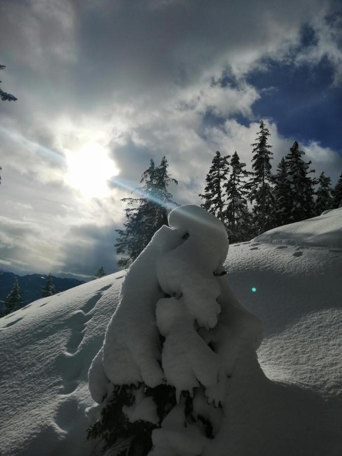 Hotel Garni Alpendiamant Fiss Exterior foto